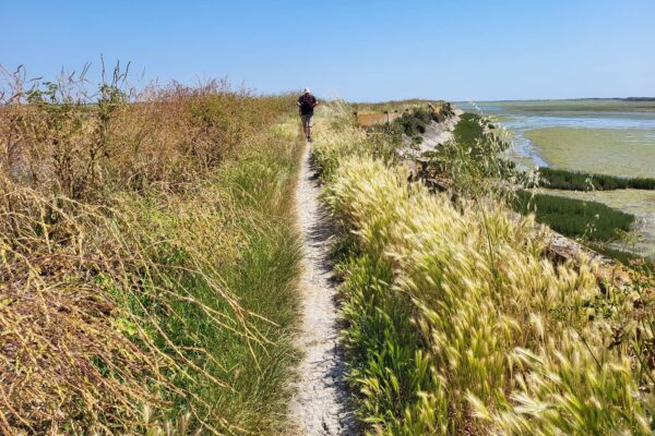 Ma Pause Détox sur l'ile de Ré, chemin dans les marais salants du Fier d'Ars