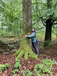 Bain de forêt - La voie du jeûne - Séjour de Jeûne et randonnée - Belgique - Mer du Nord