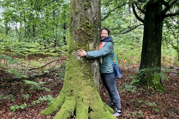 Bain de forêt - La voie du jeûne - Séjour de Jeûne et randonnée - Belgique - Mer du Nord