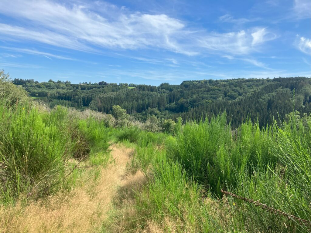 La voie du jeûne - Séjour de Jeûne et randonnée - Belgique - Ardenne méridionale - naturopathie yoga