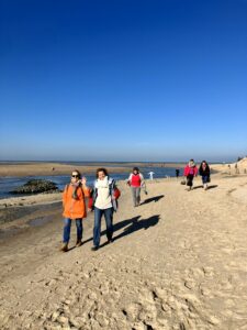 Balade du littoral - La voie du jeûne - Séjour de Jeûne et randonnée - Belgique - Mer du Nord