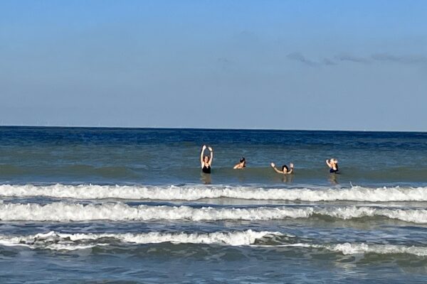 Baignade en mer – week-end jeûne et randonnée - La voie du jeûne - Mer du Nord - Belgique