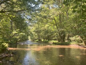 Rivière - Parc naturel Ardenne méridionale - La voie du jeûne - Séjour de Jeûne et randonnée - Belgique