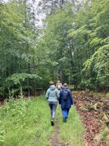 Randonnée - La voie du jeûne - Séjour jeûne et randonnée en Ardenne - Belgique